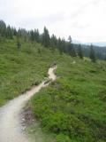 biketrail2.jpg